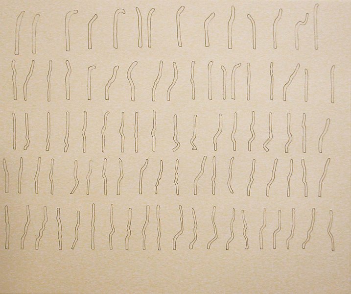 feutre - 36 cm X 40 cm